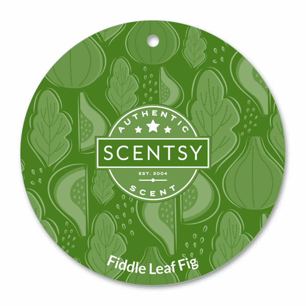 FIDDLE LEAF FIG SCENTSY SCENT CIRCLE