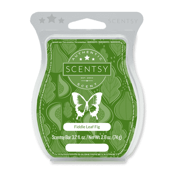 Fiddle Leaf Fig Scentsy Bar FIDDLE LEAF FIG SCENTSY BAR