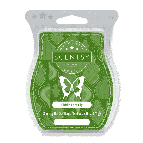 FIDDLE LEAF FIG SCENTSY BAR, Shop Scentsy