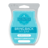 GIVE ME PASSIONFLOWER SCENTSY BAR | BRING BACK MY BAR JULY 2019 | Shop Scentsy | Incandescent.Scentsy.us