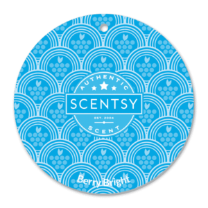 BERRY BRIGHT SCENTSY SCENT CIRCLE