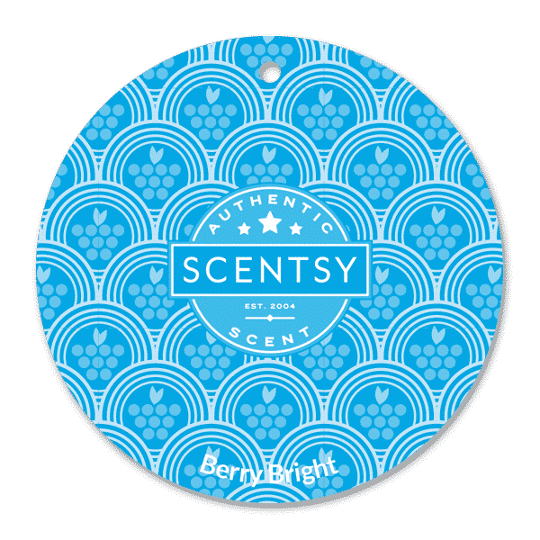 BERRY BRIGHT SCENTSY SCENT CIRCLE