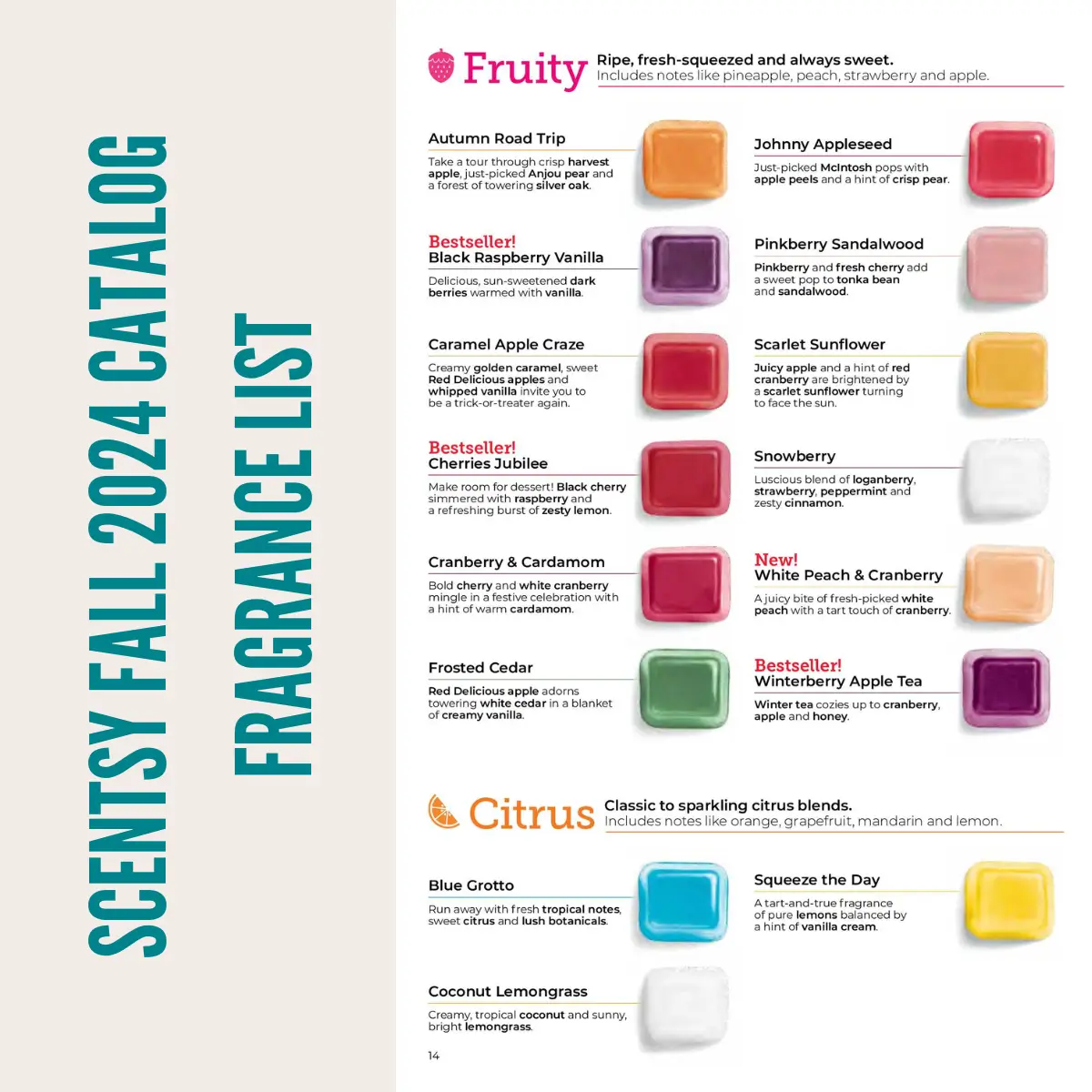 View the Scentsy Fall Winter 2024 Catalog Scent List