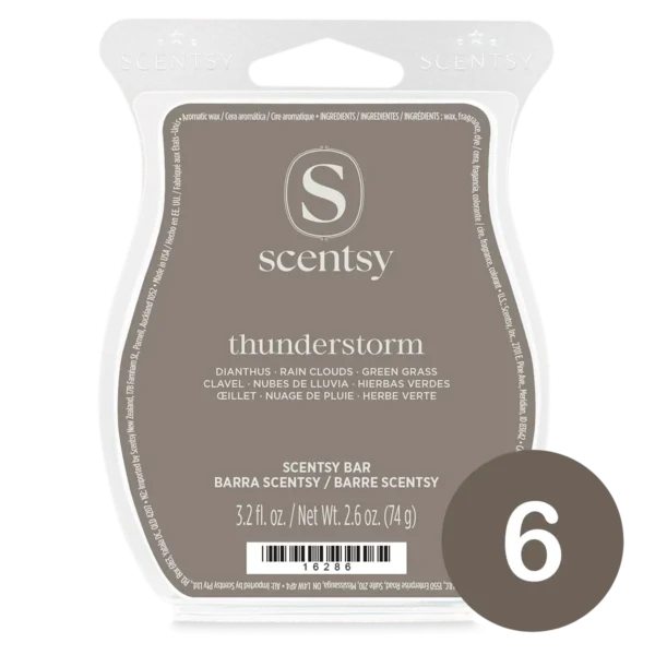 6 bar bundles (9) Thunderstorm Scentsy 6 Bar Bundle