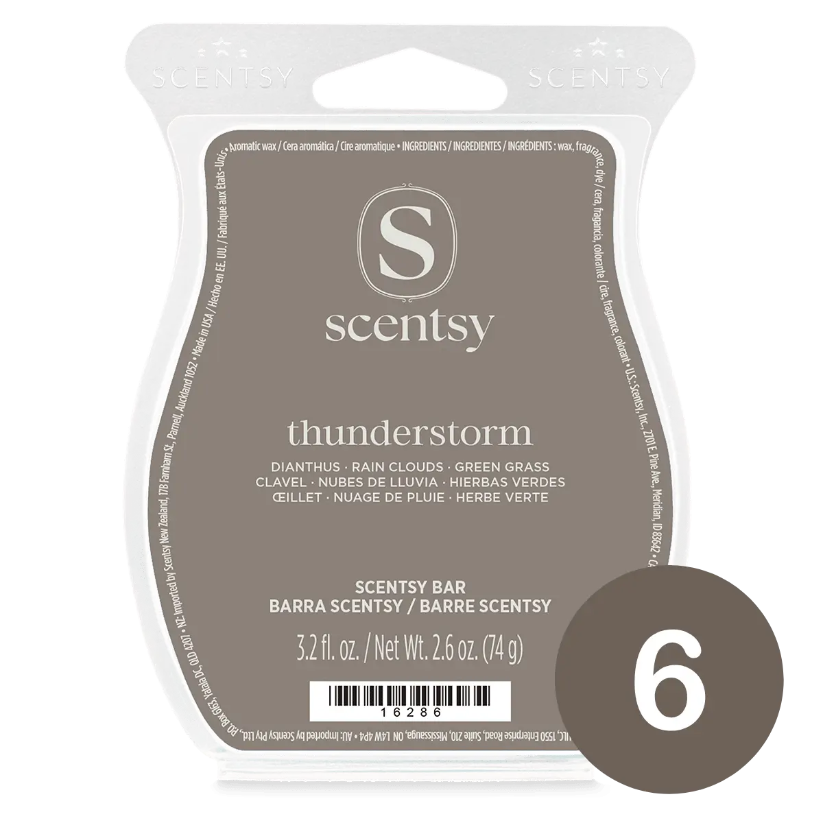 6 Bar Bundles (9) Thunderstorm Scentsy 6 Bar Bundle