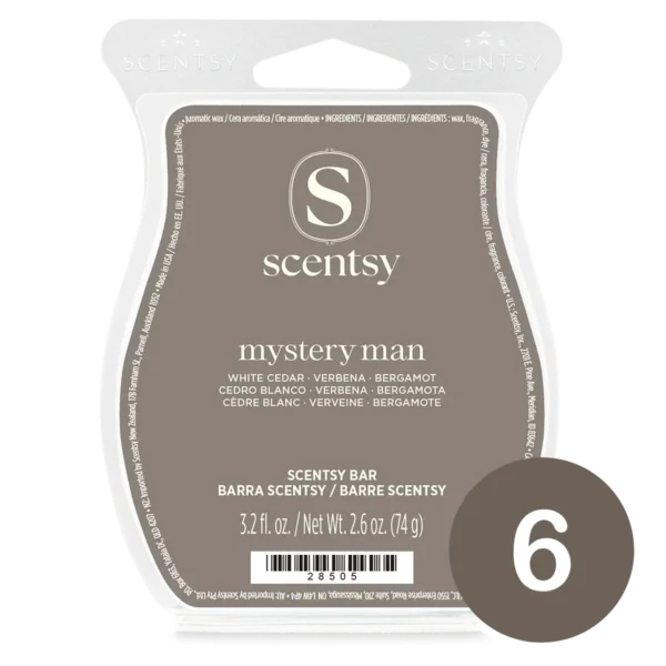 Mystery Man Scentsy 6 Bar Bundle