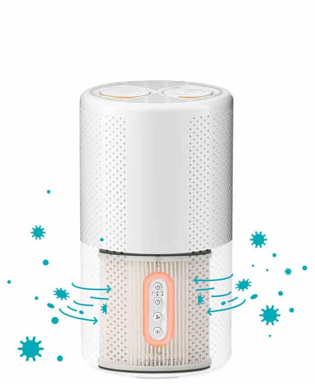 Scentsy Air Purifier New Fall 2021