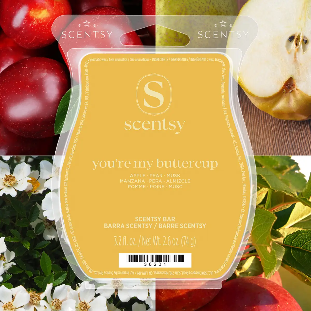 7 (14) You're My Buttercup Scentsy Wax Bar - June 2026 BBMB