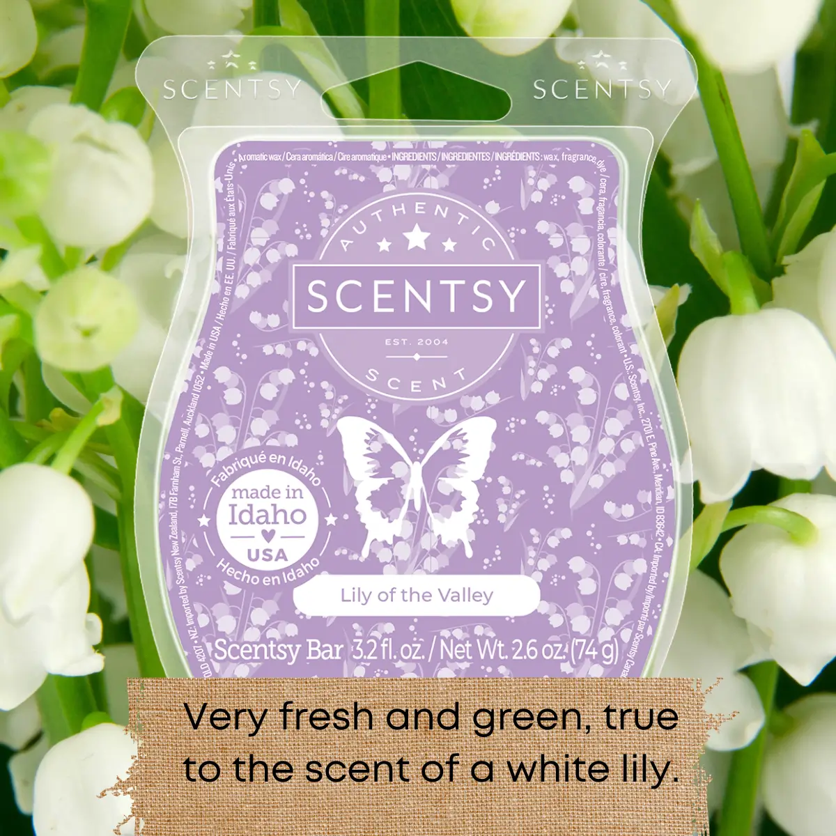 Scentsy Bring Back my Bar Winners January 2025