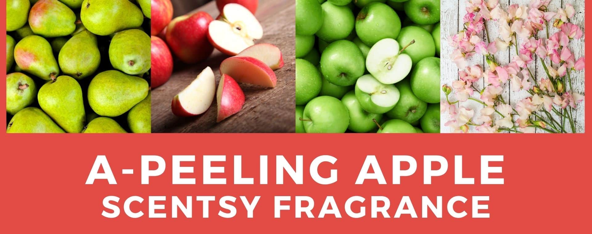 APeeling Apple Scentsy Fragrance Incandescent.Scentsy.us