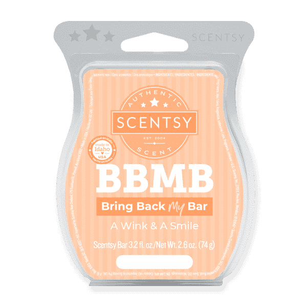 A WINK A SMILE SCENTSY BAR