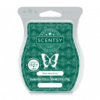 Aloe Vera & Ivy Scentsy Bar