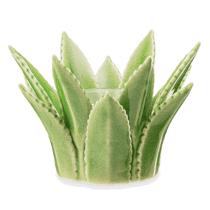 ALOE VERA SCENTSY WARMER