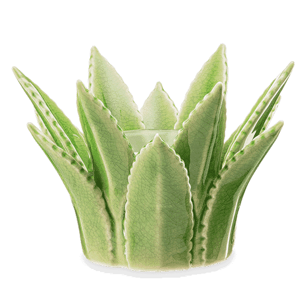 ALOE VERA SCENTSY WARMER