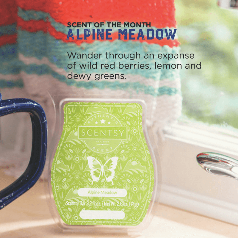 ALPINE MEADOW SCENTSY BAR