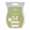 AMAZON RAIN SCENTSY BAR