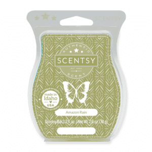 AMAZON RAIN SCENTSY BAR