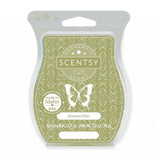 AMAZON RAIN SCENTSY BAR