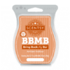 Amber Hollow Scentsy Bar | BRING BACK MY BAR | Shop Scentsy | Incandescent.Scentsy.us
