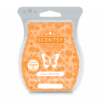 AUTUMN ROAD TRIP SCENTSY BAR