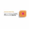 Autumn Road Trip Scentsy Bar | Shop Scentsy | Incandescent.Scentsy.us