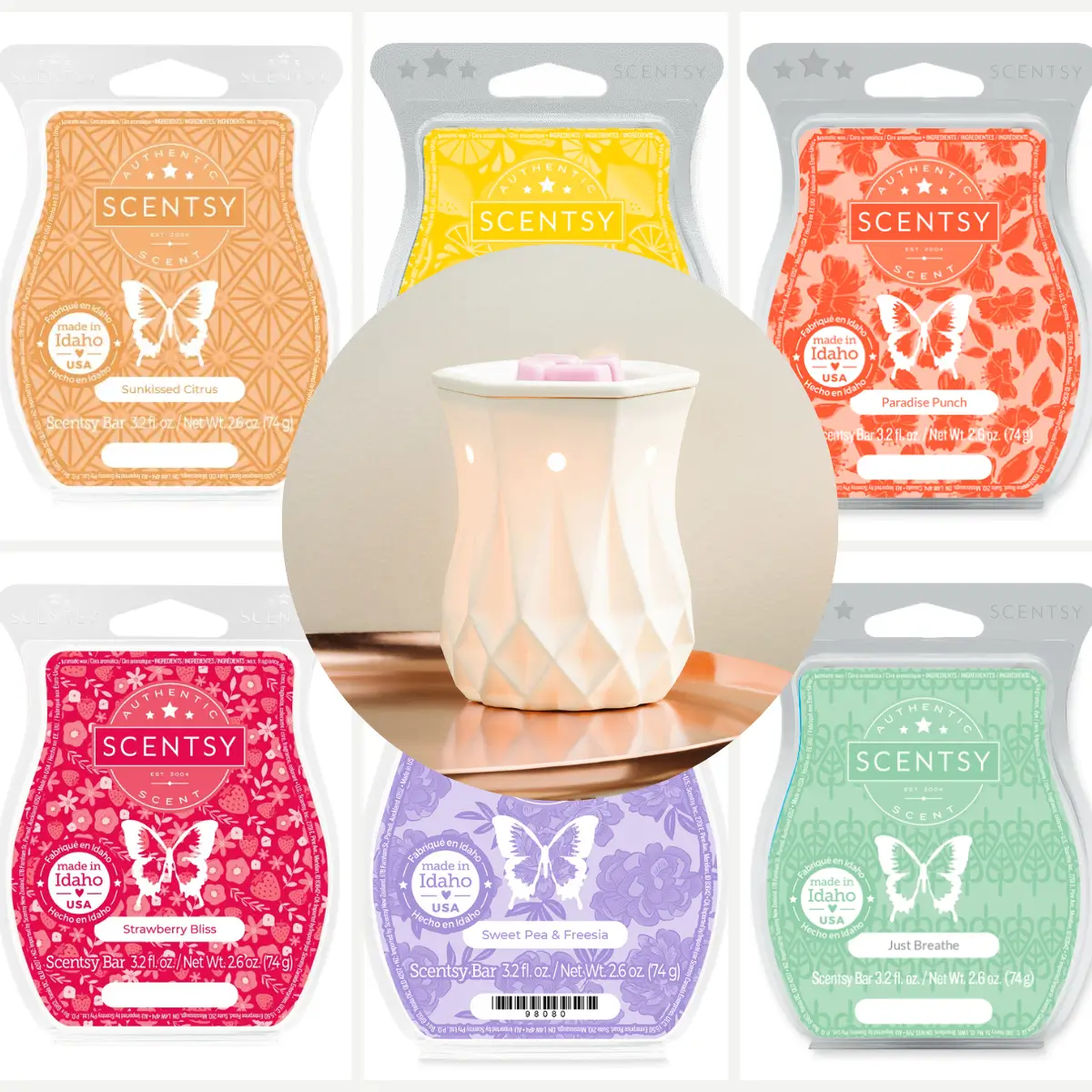 Alabaster Scentsy Warmer Bundle