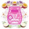 Aloha Orchid Scentsy