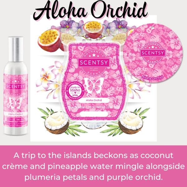 Aloha Orchid Scentsy Fragrance 1