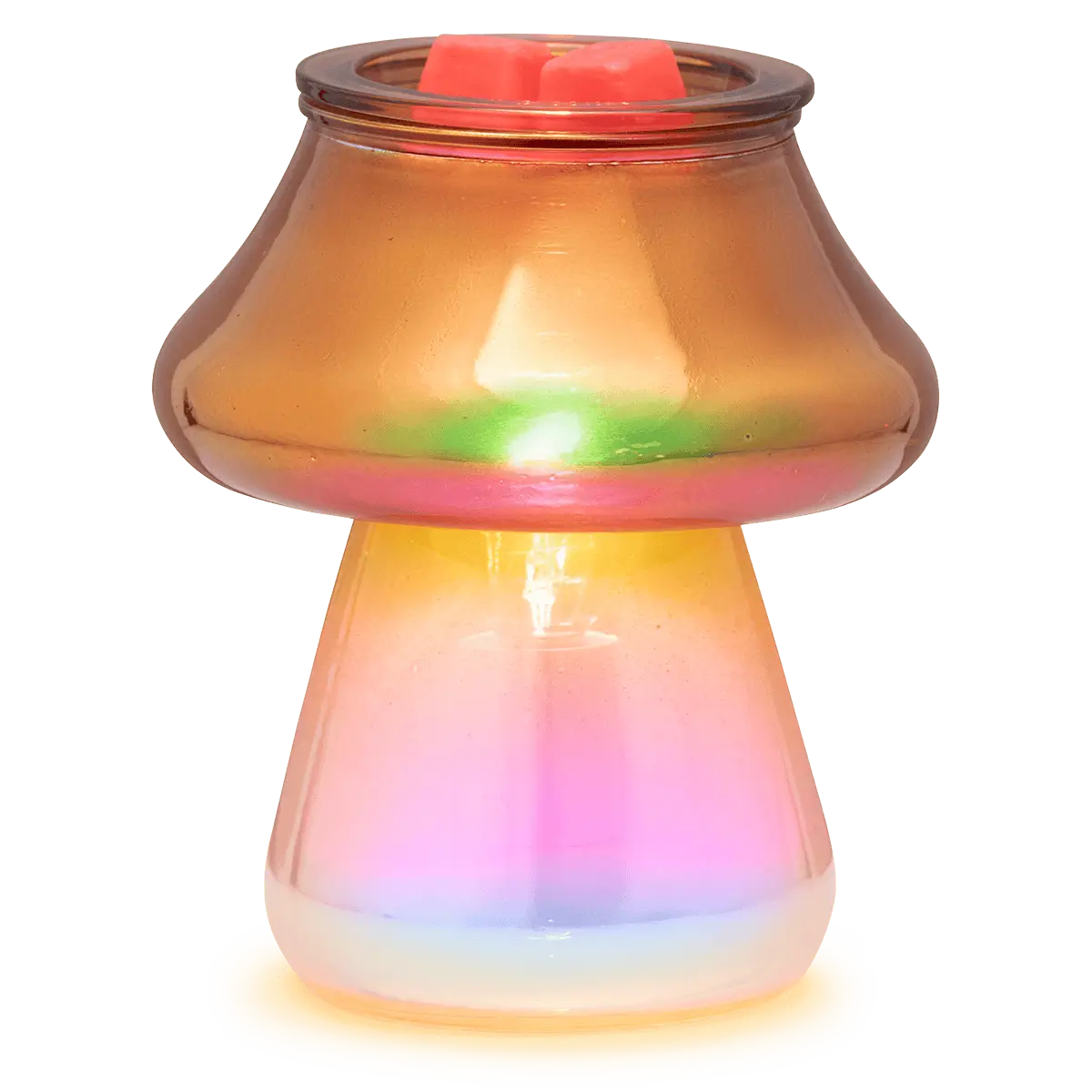 Scentsy 2025 Fall Winter Catalog | Shop 9/1