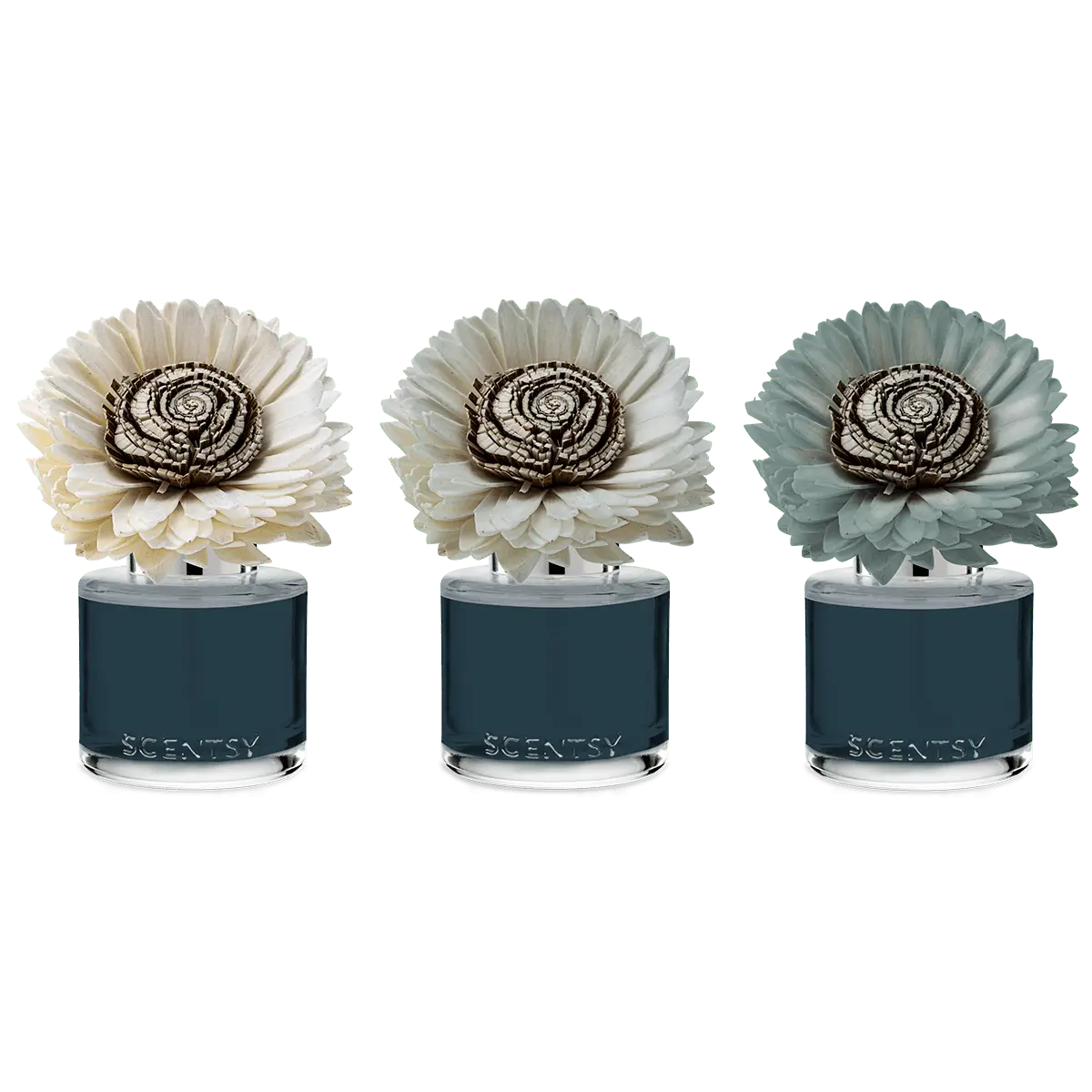 Apple Harvest Dreams Sunflower Scentsy Fragrance Flower