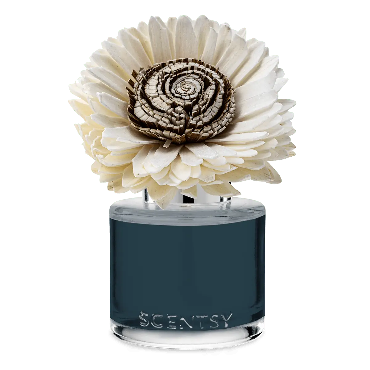Apple Harvest Dreams Sunflower Scentsy Fragrance Flower