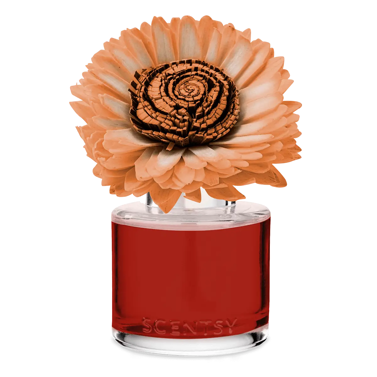 Apple Spice Season Sunflower Scentsy Fragrance Flower