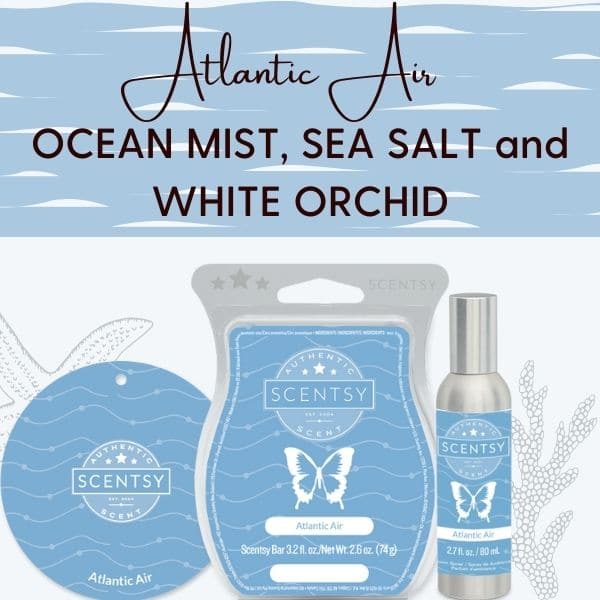 Atlantic Air Scentsy Fragrance