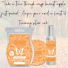 Autumn Road trip Scentsy Fragrance 2