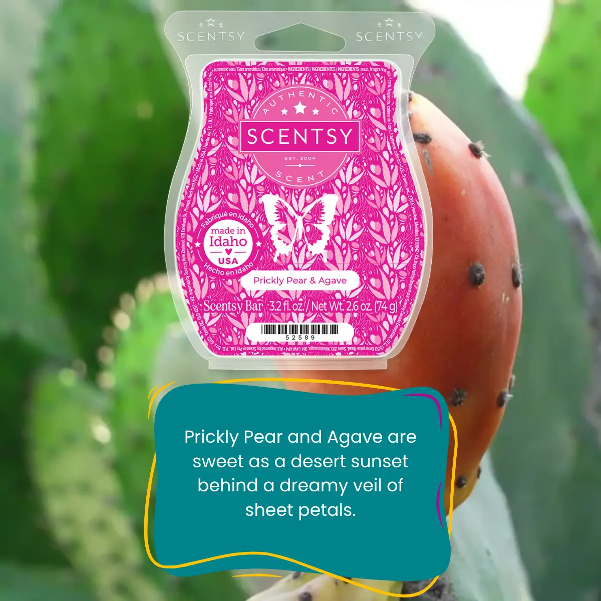 Scentsy Bring Back my Bar July 2025 Winners
