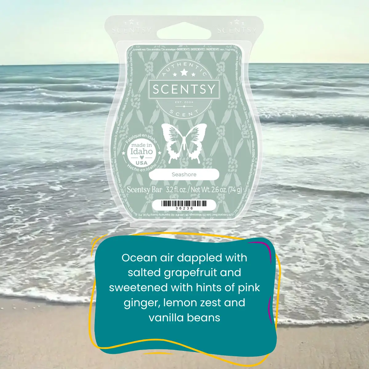 Scentsy Bring Back my Bar July 2025 Winners