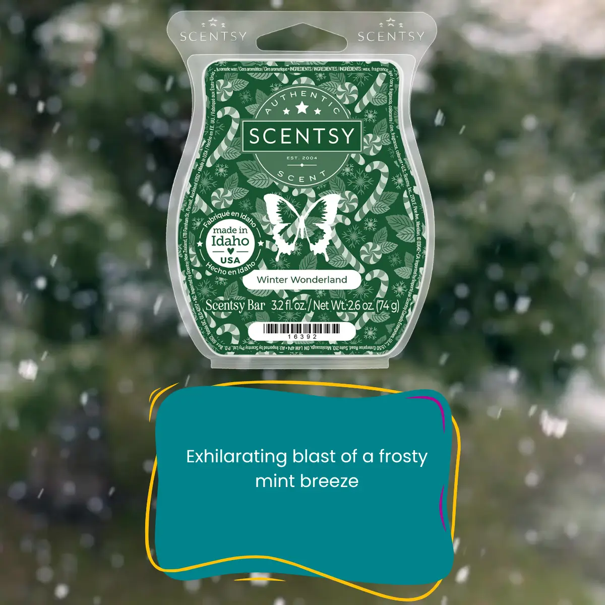 Scentsy Bring Back my Bar July 2025 Winners