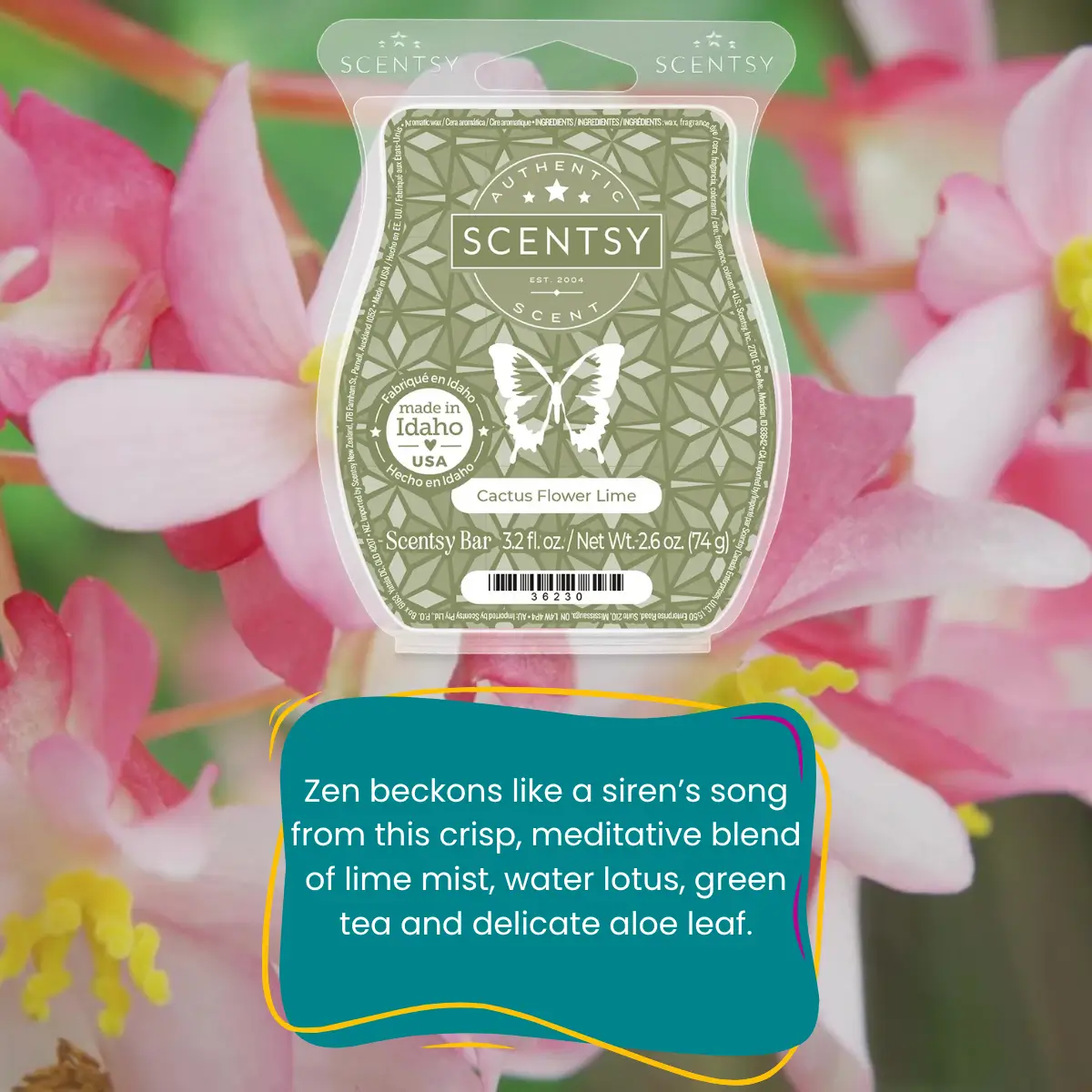 Scentsy Bring Back my Bar July 2025 Winners
