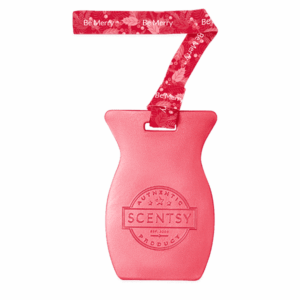 Be Merry Scentsy Car Bar | Shop Scentsy | Incandescent.Scentsy.us