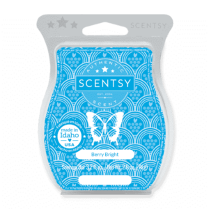 BERRY BRIGHT SCENTSY BAR