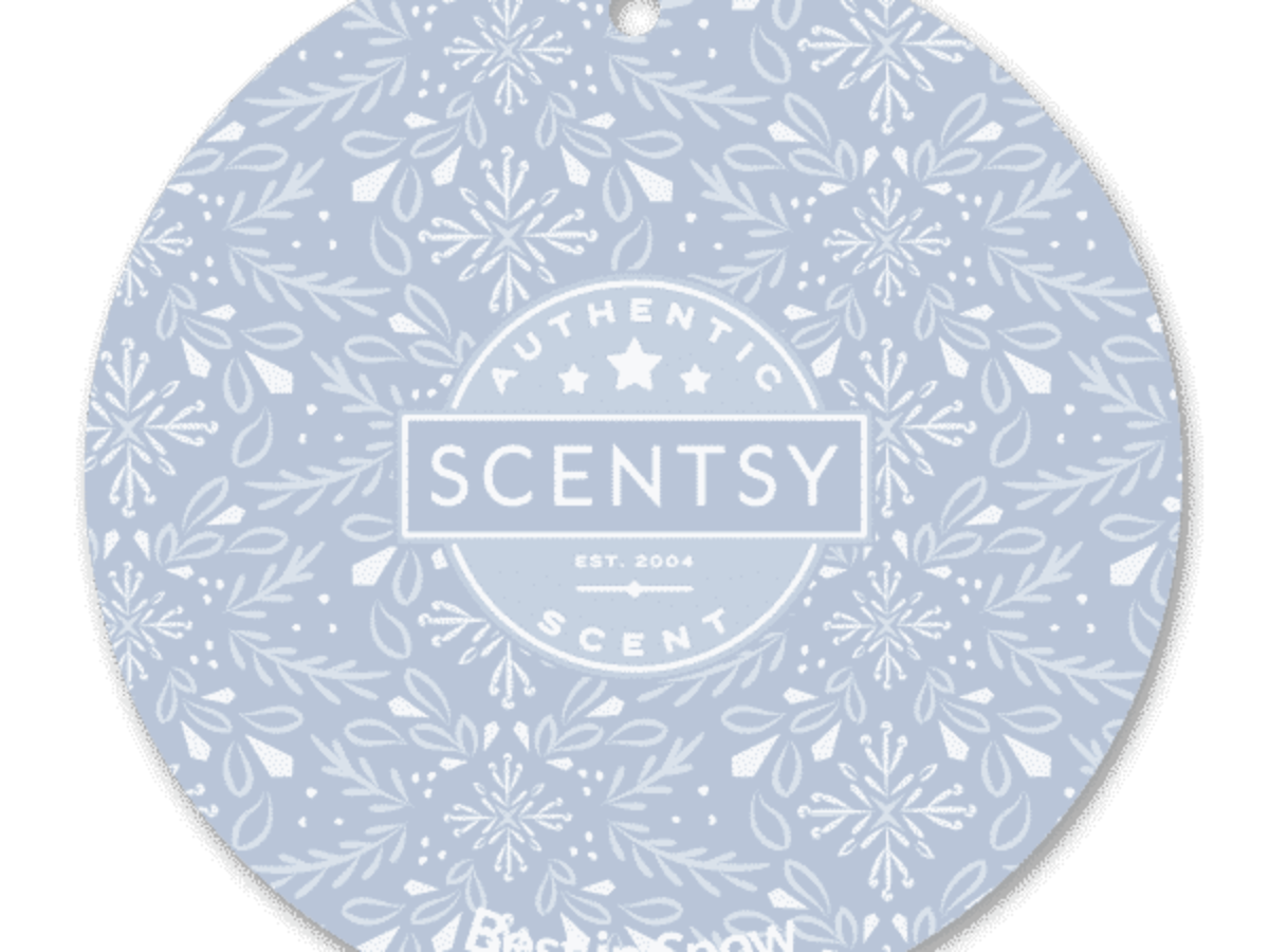 Details about   Scentsy  ❄️ BEST IN SNOW ❄️ Lot Of 3 Bars ~ NEW 