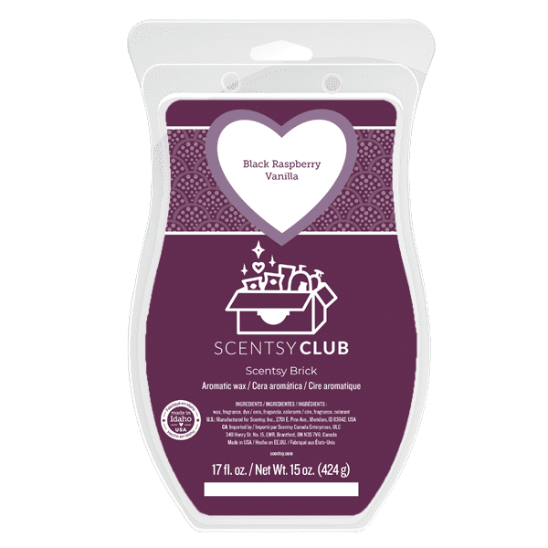 BLACK RASPBERRY VANILLA SCENTSY BRICK 1