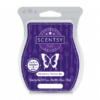 BLUEBERRY CHEESECAKE SCENTSY BAR