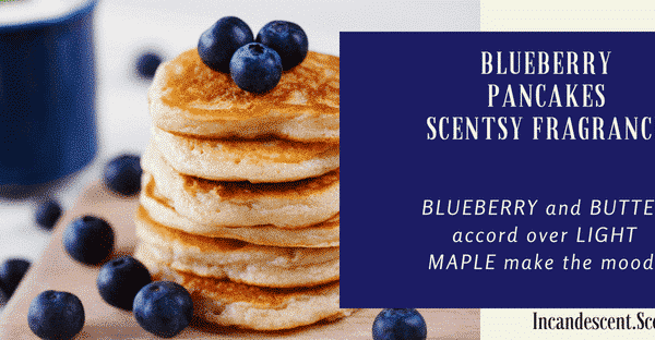 BLUEBERRY PANCAKES SCENTSY SCENT CIRCLE