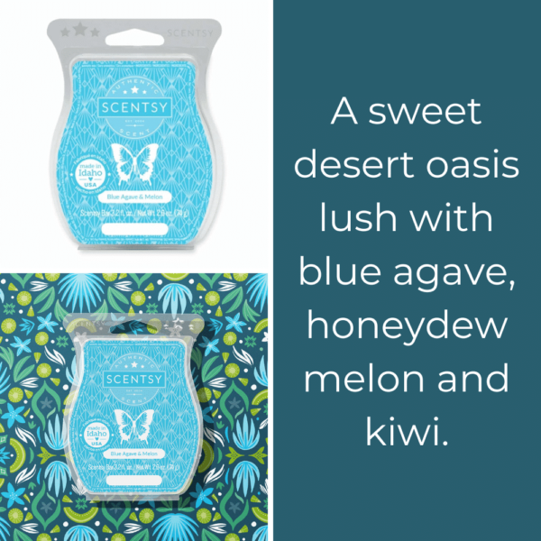 BLue Agave Melon Scentsy Bar