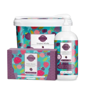 Black Raspberry Vanilla Scentsy Laundry Bundle