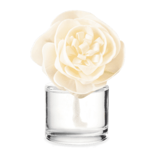 BUTTERCUP BELLE SCENTSY FRAGRANCE FLOWER