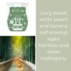 Banana Leaf Bamboo Scentsy Bar