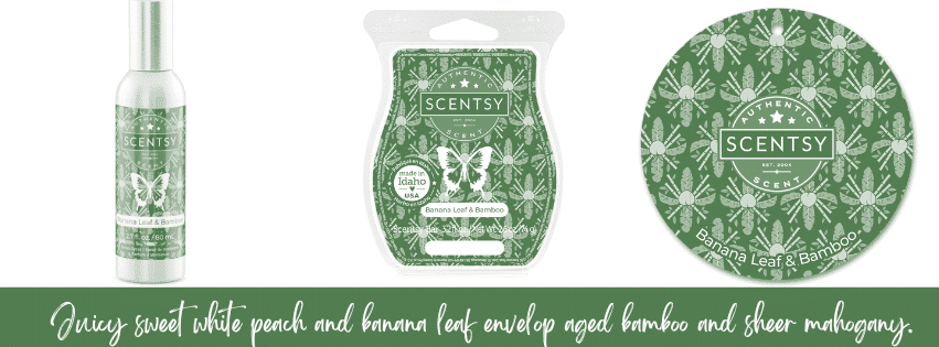 Banana Leaf Bamboo Scentsy Fragrance