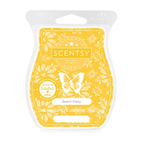 Beach Daisy Scentsy Bar